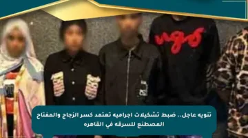 تنويه عاجل.. ضبط تشكيلات إجرامية تعتمد كسر الزجاج والمفتاح المصطنع للسرقة في القاهرة